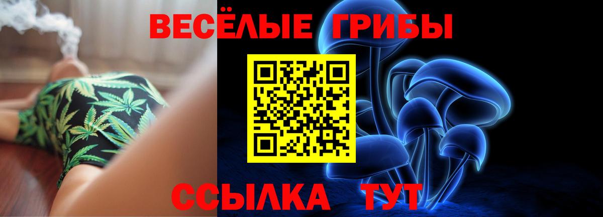 Орехово-Зуево  Псилоцибиновые грибы мицелий  Вход с VPN 